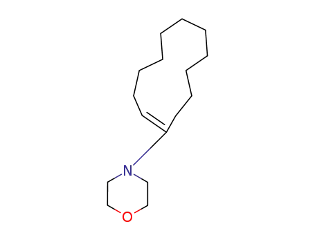 1-morpholinocyclododecene