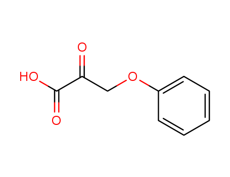 6-methyl-2-oxoHeptanoic acid