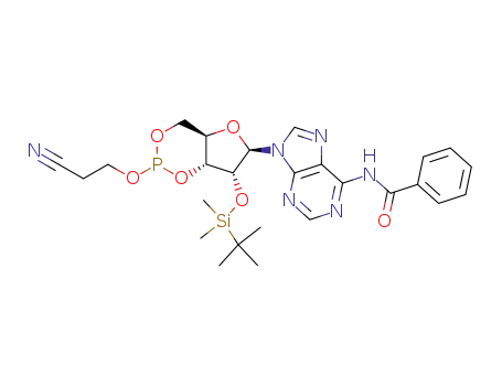 <i>N</i>-{9-[7-(<i>tert</i>-butyl-dimethyl-silanyloxy)-2-(2-cyano-ethoxy)-tetrahydro-furo[3,2-<i>d</i>][1,3,2]dioxaphosphinin-6-yl]-9<i>H</i>-purin-6-yl}-benzamide