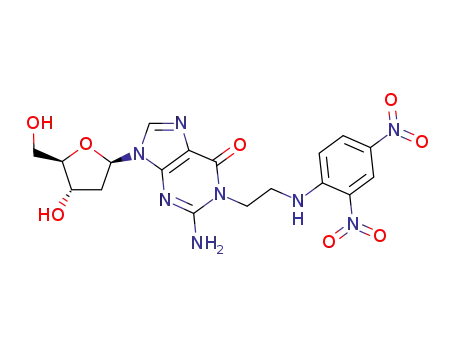 2'-deoxy-1-{2-[(2,4-dinitrophenyl)amino]ethyl}guanosine