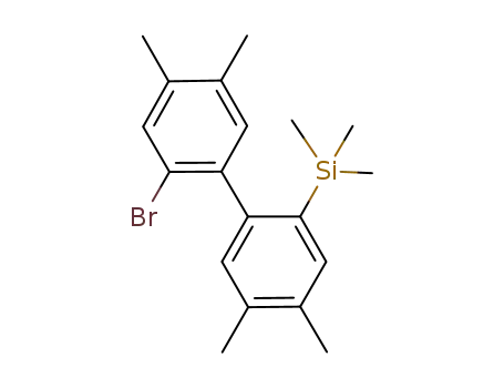 2-bromo-2'-trimethylsilyl4,4',5,5'-tetramethylbiphenyl