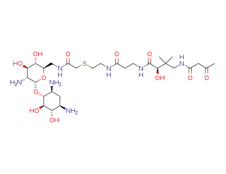 neamine 6'-N-(R)-(3-((2-((2-amino-2-oxoethyl)thio)ethyl)-amino)-3-oxopropyl)-2-hydroxy-3,3-dimethyl-4-(3-oxobutanamido)butanamide