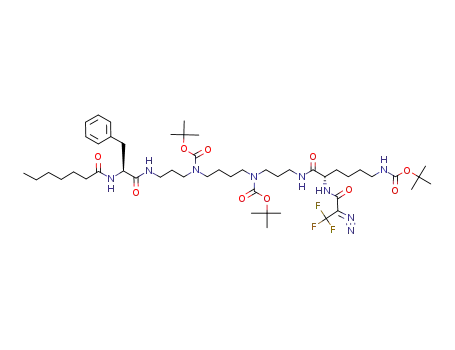[(S)-5-{3-[tert-Butoxycarbonyl-(4-{tert-butoxycarbonyl-[3-((S)-2-heptanoylamino-3-phenyl-propionylamino)-propyl]-amino}-butyl)-amino]-propylcarbamoyl}-5-(2-diazo-3,3,3-trifluoro-propionylamino)-pentyl]-carbamic acid tert-butyl ester