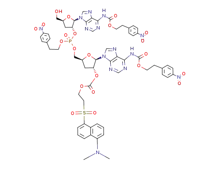 3'-deoxy-N<sup>6</sup>-<2-(4-nitrophenyl)ethoxycarbonyl>adenylyl-<2'-<O<sup>P</sup>-<2-(4-nitrophenyl)ethyl>>->5'>-2'-O-(2-dansylethoxycarbonyl)-3'-deoxy-N<sup>6</sup>-<2-(4-nitrophenyl)ethoxycarbonyl>adenosine