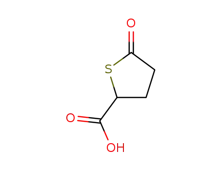 5-Oxothiolane-2-carboxylic acid