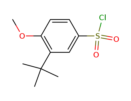3-tert-부틸-4-메톡시-벤젠설포닐 클로라이드