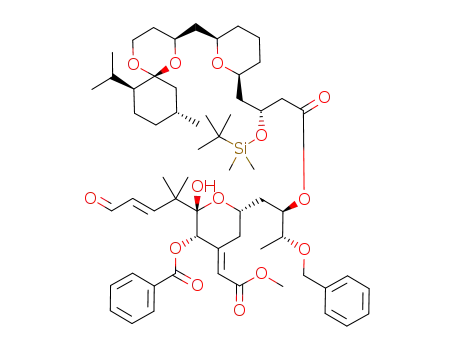 304429-09-2