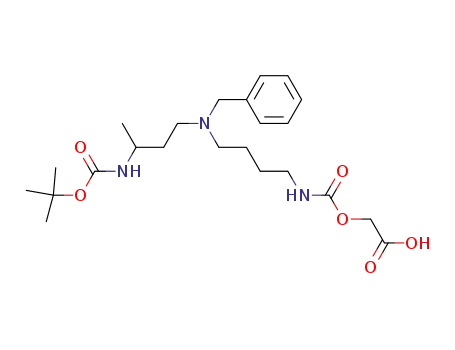 2,2,6-trimethyl-4,15-dioxo-9-(phenylmethyl)-3,16-dioxa-5,9,14-triazaoxadecan-18-oic acid