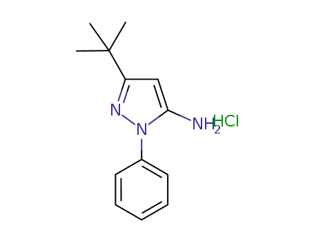 Molecular Structure of 917950-33-5 (5-TERT-BUTYL-2-PHENYL-2H-PYRAZOL-3-YLAMINE HYDROCHLORIDE)