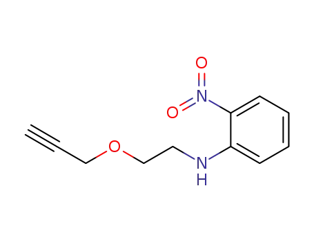 Molecular Structure of 1252886-10-4 (2-nitrophenyl-(2-prop-2-ynyloxyethyl)amine)