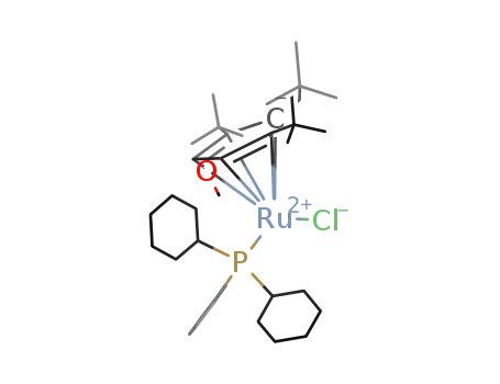 Molecular Structure of 942516-66-7 ((2,4-bis-tert-butyl-1-methoxy-3-neopentylcyclopentadienyl)(tricyclohexylphosphine)chlororuthenium(III))