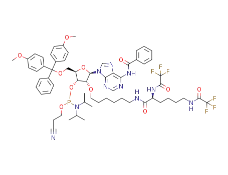 N-benzoyl-2'-O-[N<sub>2</sub>,N<sub>6</sub>-bis(trifluoroacetyl)lysyl]aminohexyl-5'-O-(4,4'-dimethoxytrityl)adenosine 3'-O-[O-(2-cyanoethyl)-N,N-diisopropylphosphoramidite]