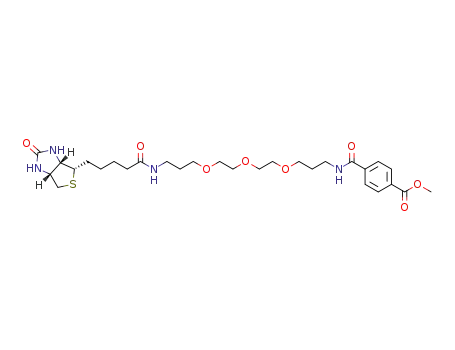 N-(3-(2-[2-(3-aminopropoxy)ethoxy]ethoxy)propyl)-N'-biotinterephthalamic acid methyl ester