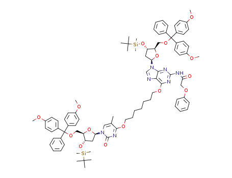 1-{O<sup>4</sup>-[3′-O-(t-butyldimethylsilyl)-5′-O-(4,4′-dimethoxytrityl)thymidinyl]}-7-{O6-[3′-O-(t-butyldimethylsilyl)-5′-O-(4,4′-dimethoxytrityl)-N<sup>2</sup>-phenoxyacetyl-2'-deoxyguanosinyl]}heptane
