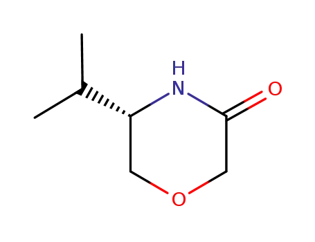 Molecular Structure of 127958-60-5 (5-isopropylmorpholin-3-one)