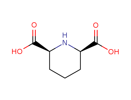 CIS-2,6-PIPERIDINE DICARBOXYLIC ACID