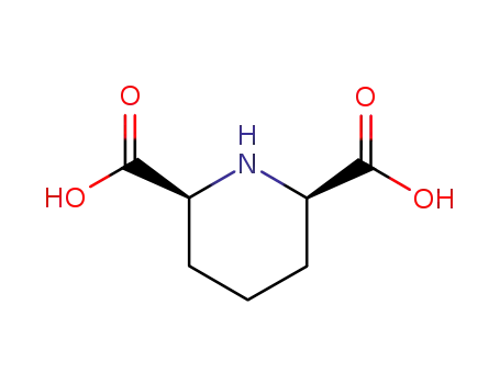 CIS-2,6-피페리딘 디카르복실산