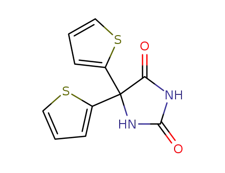 Molecular Structure of 62032-07-9 (5,5-DITHIEN-2-YLIMIDAZOLIDINE-2,4-DIONE)