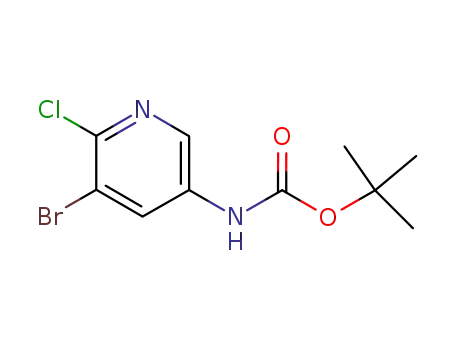 (5-BROMO-6-CHLORO-PYRIDIN-3-YL)-카르밤산 TERT-부틸 에스테르
