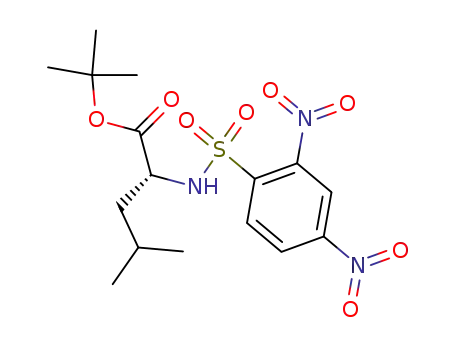 Molecular Structure of 238405-77-1 (2-(2,4-dinitro-benzenesulfonylamino)-4-methyl-pentanoic acid <i>tert</i>-butyl ester)