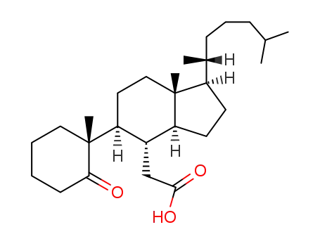 Molecular Structure of 53512-63-3 ((10α)-1-Oxo-5,6-secocholestan-6-oic acid)