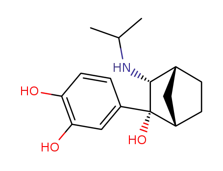 Molecular Structure of 118891-95-5 (N-isopropyl-3-amino-2-(3,4-dihydroxyphenyl)-2-hydroxybicyclo(2.2.1)heptane)