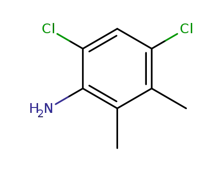 4,6-Dichloro-2,3-diMethylaniline