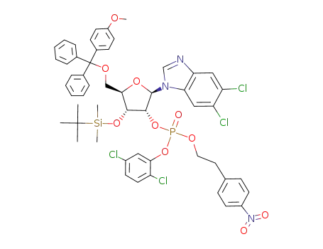 1-(3-O-tert-butyldimethylsilyl-5-O-p-methoxytrityl-β-D-ribofuranosyl)-5,6-dichlorobenzimidazole 2'-<2,5-dichlorophenyl 2-(4-nitrophenyl)ethyl phosphate>