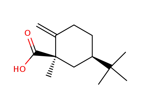 cis-3-t-butyl-1-methyl-6-methylenecyclohexanecarboxylic acid