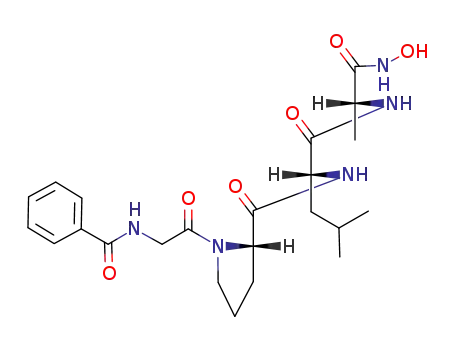 Molecular Structure of 124169-03-5 (D-Alaninamide, N-benzoylglycyl-L-prolyl-D-leucyl-N-hydroxy-)