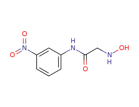 2-Hydroxyamino-N-(3-nitro-phenyl)-acetamide