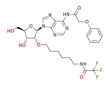 Molecular Structure of 912641-63-5 (N<sup>6</sup>-(2-phenoxyacetyl)-2'-O-(6-trifluoroacetamido)hexyladenosine)