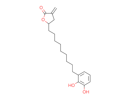 Molecular Structure of 104876-09-7 (2(3H)-Furanone, 5-[9-(2,3-dihydroxyphenyl)nonyl]dihydro-3-methylene-)