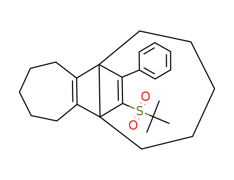 Molecular Structure of 161030-52-0 (15-(tert-Butylsulfonyl)-16-phenyltetracyclo<7.5.2.0<sup>1,9</sup>.0<sup>2,8</sup>>hexadeca-2(8),15-diene)