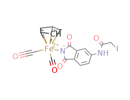 Molecular Structure of 211931-52-1 (CpFe(CO)2[η(1)-N(1)-4-iodoacetamidophthalimidato])