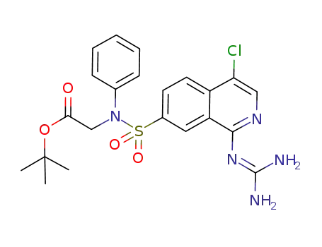 N-[(4-chloro-1-guanidino-7-isoquinolinyl)sulphonyl]-N-phenylglycine tert-butyl ester