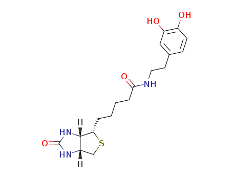 N-Biotinyl Dopamine CAS No.241142-94-9