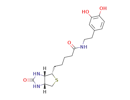Molecular Structure of 241142-94-9 (N-Biotinyl Dopamine)