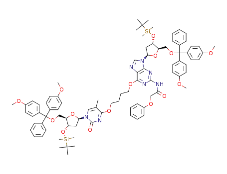 1-{O<sup>4</sup>-[3′-O-(t-butyldimethylsilyl)-5'-O-(4,4′-dimethoxytrityl)thymidinyl]}-4-{O<sup>6</sup>-[3'-O-(t-butyldimethylsilyl)-5'-O-(4,4'-dimethoxytrityl)-N<sup>2</sup>-phenoxyacetyl-2'-deoxyguanosinyl]}butane