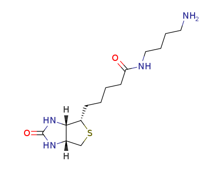 N-(4-AMinobutyl)biotinaMide
