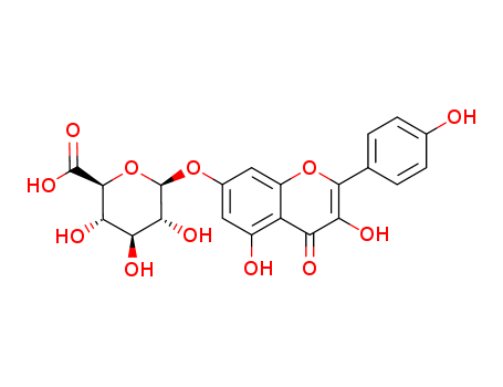 kaempferol-7-O-β-D-glucuronide