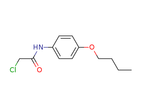 N-(4-butoxyphenyl)-2-chloro-acetamide cas  41240-84-0