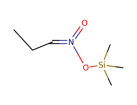 trimethylsilyl ester of aci-1-nitropropane