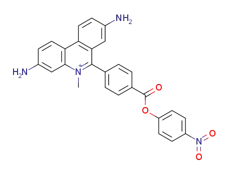 Phenanthridinium,
3,8-diamino-5-methyl-6-[4-[(4-nitrophenoxy)carbonyl]phenyl]-