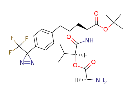 (S)-2-[(S)-2-((S)-2-Amino-propionyloxy)-3-methyl-butyrylamino]-5-[4-(3-trifluoromethyl-3H-diazirin-3-yl)-phenyl]-pentanoic acid tert-butyl ester