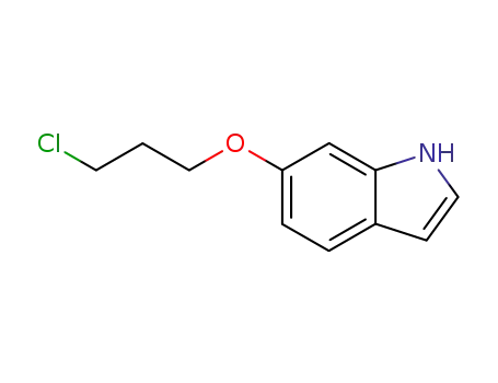 Molecular Structure of 70260-96-7 (6-(3-CHLORO-PROPOXY)-1H-INDOLE)