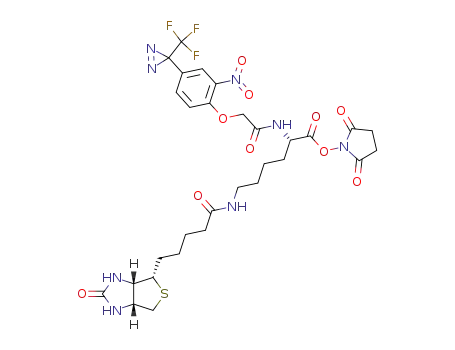 (S)-2-{2-[2-Nitro-4-(3-trifluoromethyl-3H-diazirin-3-yl)-phenoxy]-acetylamino}-6-[5-((3aR,6S,6aS)-2-oxo-hexahydro-thieno[3,4-d]imidazol-6-yl)-pentanoylamino]-hexanoic acid 2,5-dioxo-pyrrolidin-1-yl ester