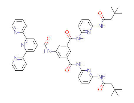 Molecular Structure of 1332851-00-9 (5-(2,2':6',2''-terpyridine-4'-carboxamido)-N,N'-bis[6-(3,3-dimethylbutanamido)pyridin-2-yl]isophthalamide)