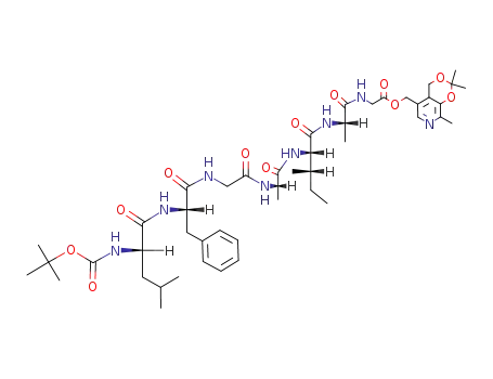 {2-[2-(2-{2-[2-(2-<i>tert</i>-butoxycarbonylamino-4-methyl-pentanoylamino)-3-phenyl-propionylamino]-acetylamino}-propionylamino)-3-methyl-pentanoylamino]-propionylamino}-acetic acid 2,2,8-trimethyl-4<i>H</i>-[1,3]dioxino[4,5-<i>c</i>]pyridin-5-ylmethyl ester