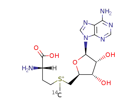 <(14)CH3>-S-adenosyl-L-methionine